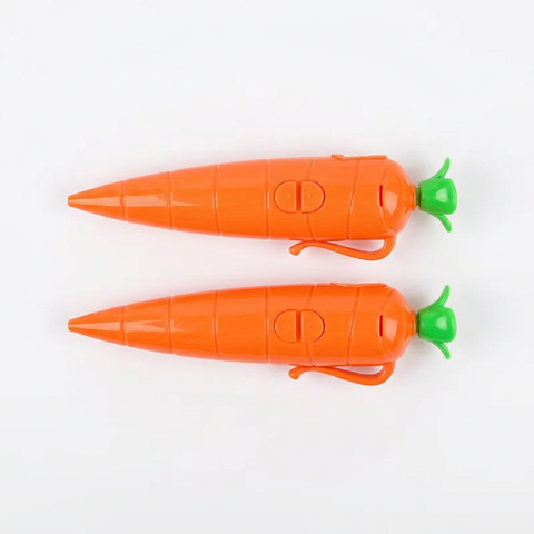 Carrot Pen Flat Lay
